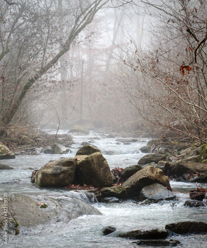 Fog Sits on an Arkansas Stream in the Forest