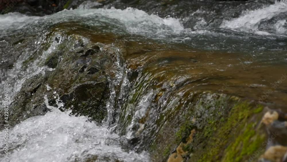 Purest mountain creek in the forest. Stream of water moves between the stones covered with moss. Small river with rocks. Idyllic green scenery with small river. Nature background series Purest mountain creek in the forest. Stream of water moves between the stones covered with moss. Small river with rocks. Idyllic green scenery with small river. Nature background series