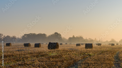 Fényképezés A lot of haystacks laying around the field in morning mist.
