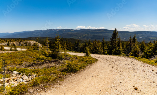 Wallpaper Mural Long mountain trail in Jizera Mountains with high trees around Torontodigital.ca