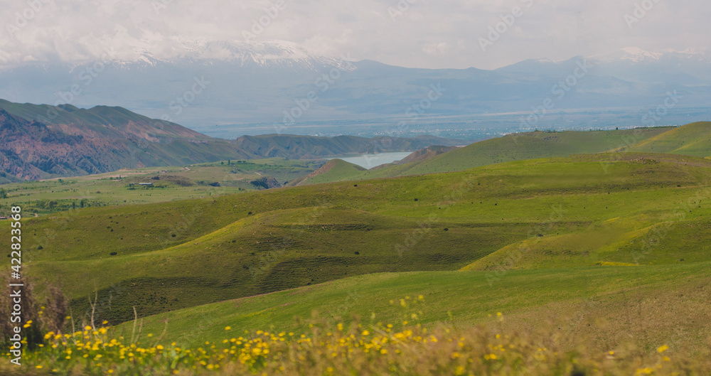 Obraz premium landscape with grass and blue sky