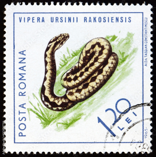 Postage stamp Romania 1965 Hungarian meadow viper photo