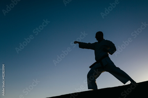 Silhouette of a man, wearing a karate kimono, throwing a punch in the air, with a park in the background. Karate, self-defense and martial arts concept. Copyspace