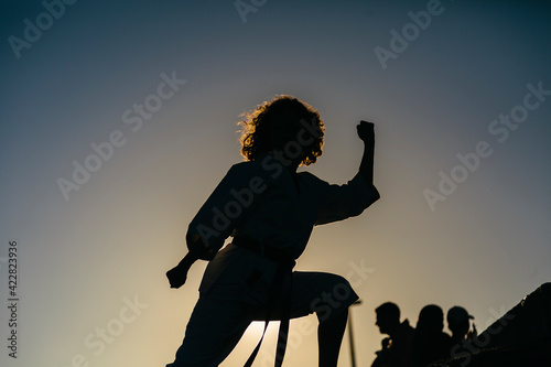 Silhouette of a woman, wearing a karate kimono, in defense posture. Behind other silhouettes of people smoking, with a park in the background. Karate, self-defense and martial arts concept.