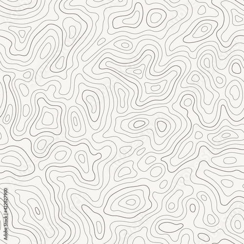 Topographic map seamless pattern, topography line map. Vector stock illustration