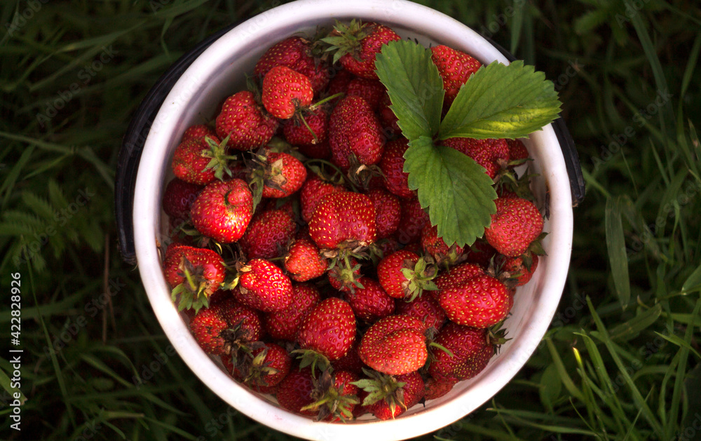 Healthy berries in a fruit basket in summer Healthy berries in a fruit basket in summer
