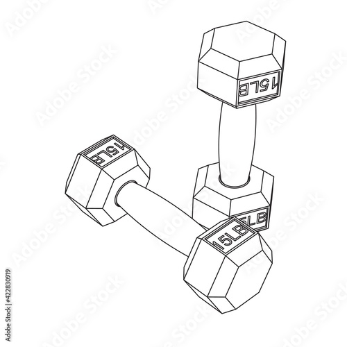 Vector illustration of dumbbells - line sketch art