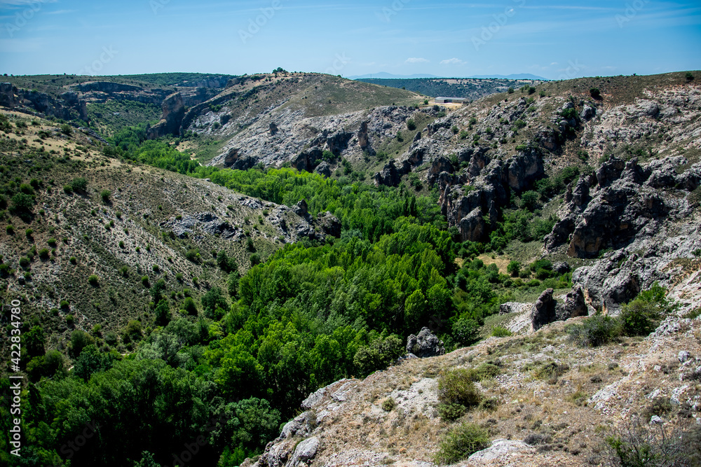 Pequeño valle o garganta de un río con árboles de ribera en la parte baja y rocas en la parte alta en el término municipal de Pelegrina, España
