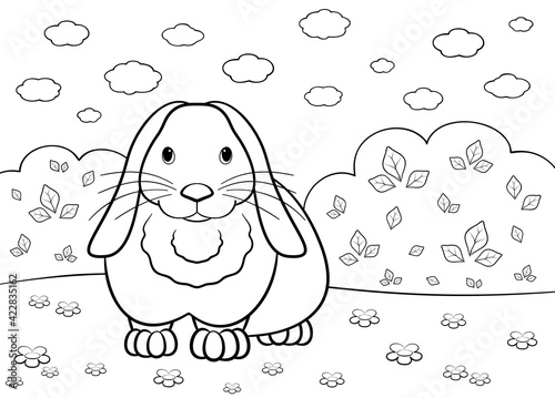 Rabbit is in a summer meadow. Illustration for coloring book.
