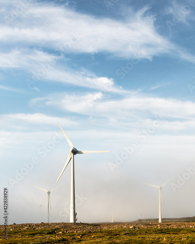 Wallpaper Mural Wind turbines on blue sky background. Industrial landscape photography Torontodigital.ca