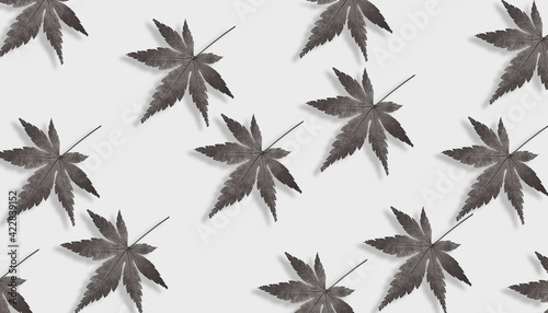 grey leaves seasonal design colour background.