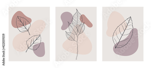 Contemporary hand drawn vector illustrations. Continuous line, minimalist botanical templates.
