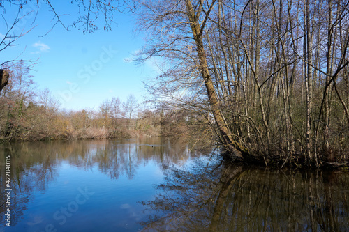 beautiful river with blue water and many trees