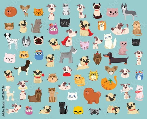 Fototapeta Naklejka Na Ścianę i Meble -  Vector illustration set of cute and funny cartoon pet characters. Different breed of dogs and cats