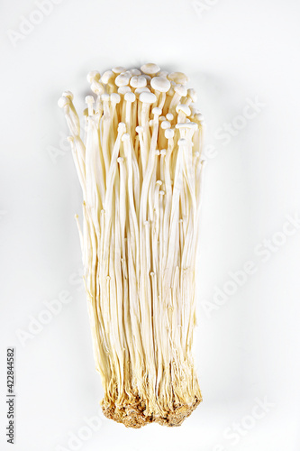Fresh whole and chopped enoki mushrooms isolated on white background. Top view