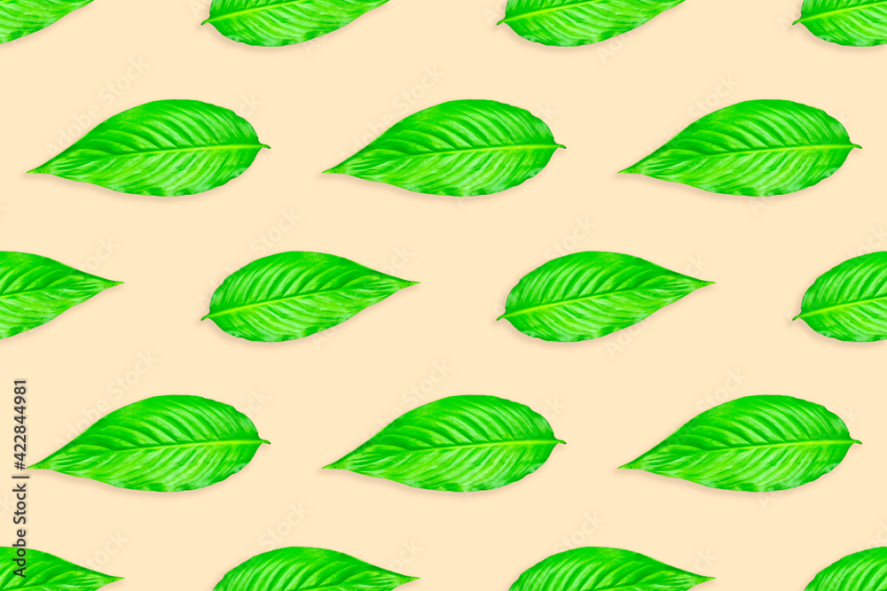 Seamless texture of green leaves Seamless texture of green leaves