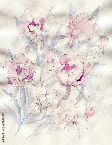 Watercolor Hand-drawn art botanical background with peonies. Perfect for creatives, website, advertising, postcard, poster, cover art, invitation, brochure.