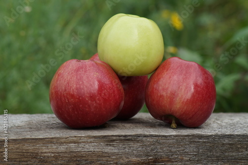 A slide of large juicy, ripe, beautiful green and red apples in nature on a wooden board.