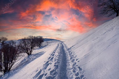 Path in the snow at sunset © Nikokvfrmoto