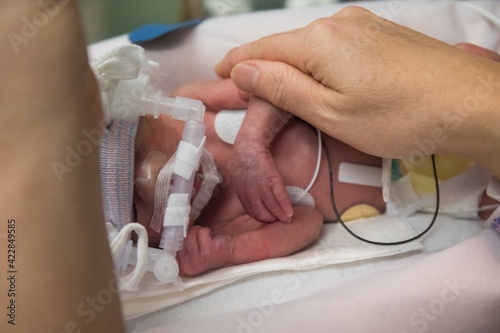 Mother touching premature newborn baby in incubator