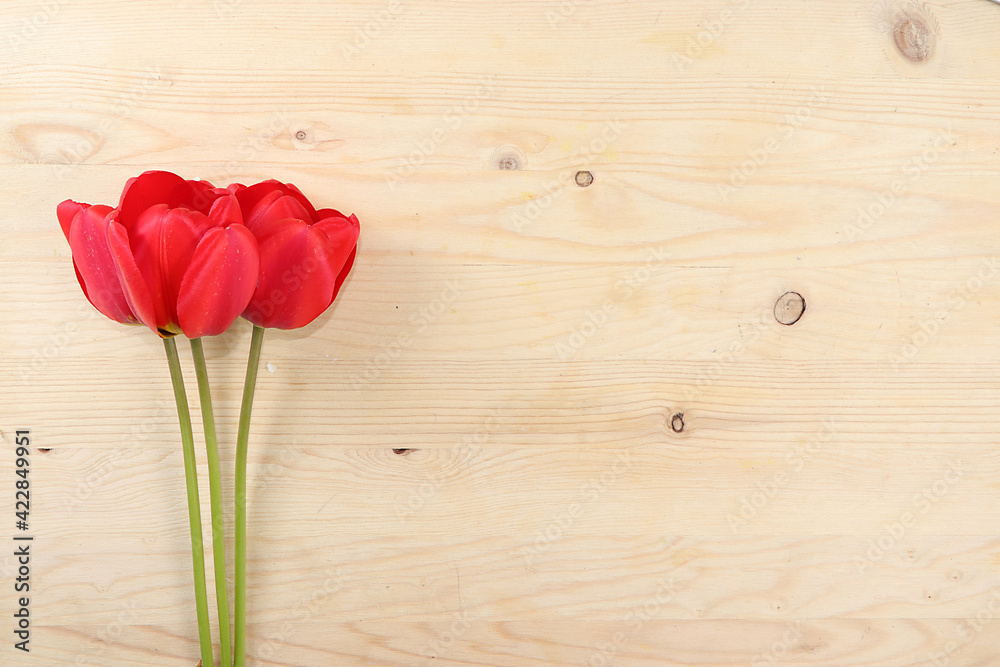 Holiday concept with flowers, abstract spring or summer composition, still life, banner. Greeting card for mothers day, womens day, lovers day, happy birthday, wedding, selective focus, Holiday concept with flowers, abstract spring or summer composition, still life, banner. Greeting card for mothers day, womens day, lovers day, happy birthday, wedding, selective focus,