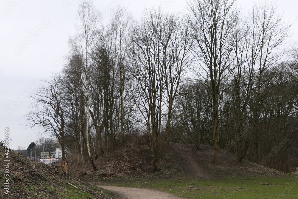 Wo bleibt der Frühling Wo bleibt der Frühling