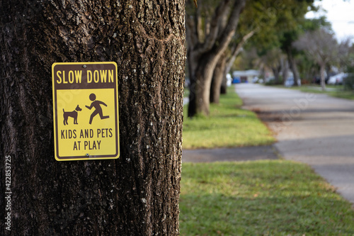 Slow Down Kids and Pets at Play Sign on a Neighborhood Street