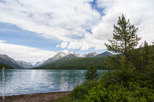 Bowman Lake  Montana 