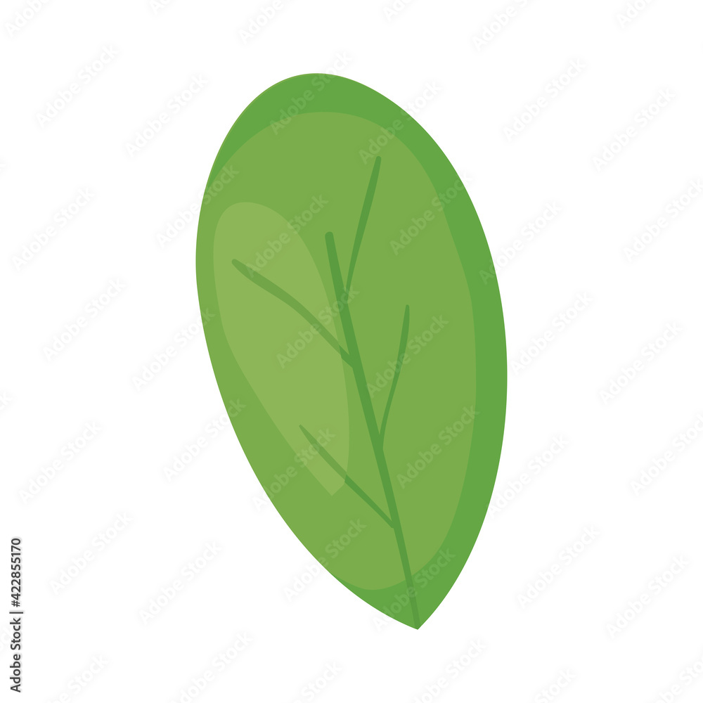 spinach leaf icon spinach leaf icon