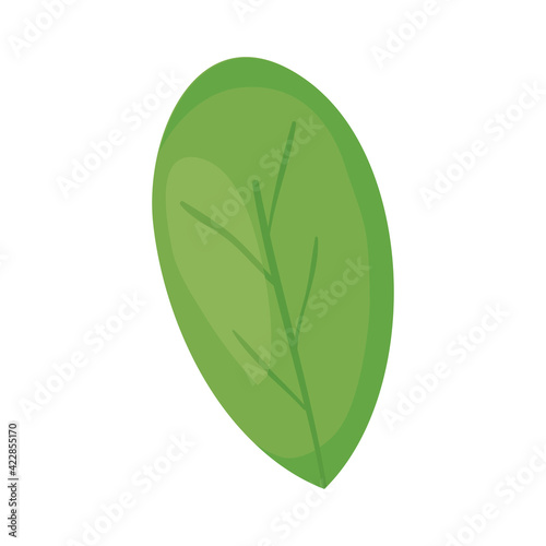 spinach leaf icon