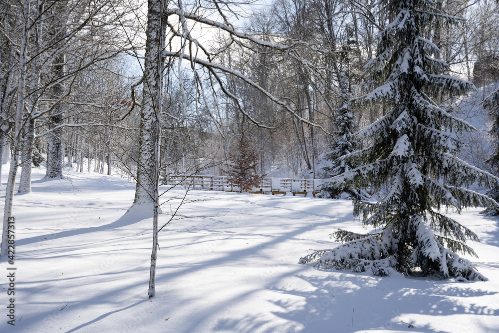 Obraz premium There is a lot of white fluffy snow that has covered the