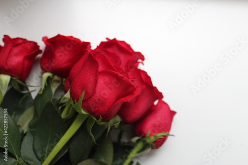 Red roses. Beautiful bouquet of red roses on the white background
