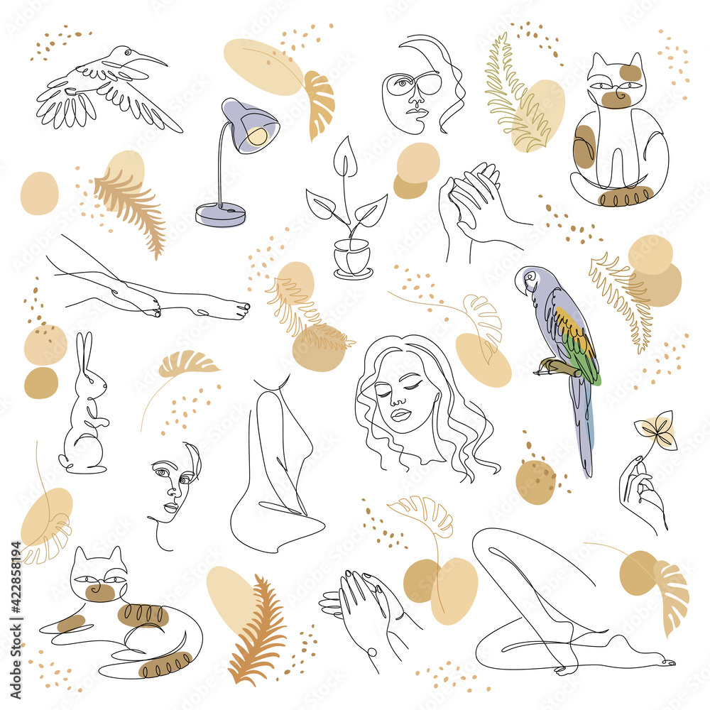 Fototapeta premium Collection. Silhouette of lady, cat, bird and leaves in modern one line style. Solid line, outline for decor, posters, stickers, logo. Set of vector illustrations set.