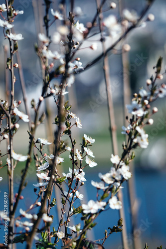 Der Frühling steht vor der Tür
