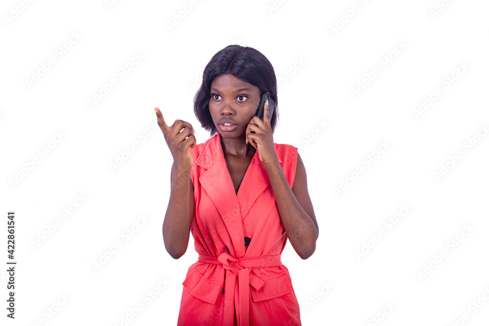portrait of a beautiful young businesswoman talking on the cellphone portrait of a beautiful young businesswoman talking on the cellphone