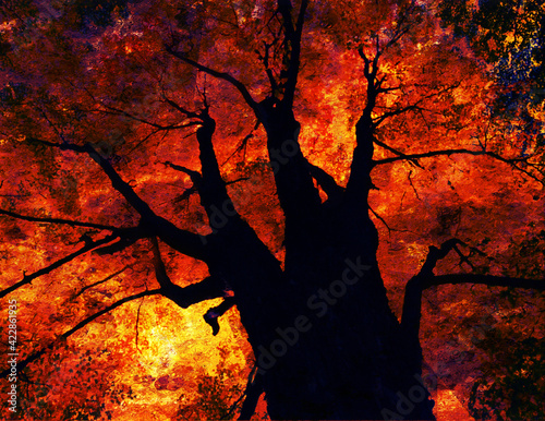 Billede på lærred Colorful Abstract Tree