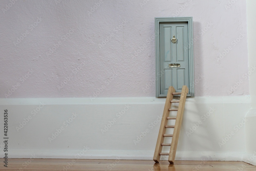 A small tooth fairy door with a ladder in a child's room for pretend play. A small tooth fairy door with a ladder in a child's room for pretend play.