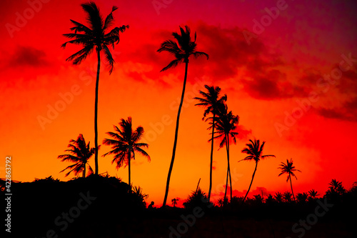 Fototapeta Naklejka Na Ścianę i Meble -  black palm silhouettes against the background of a bright sunset African sky.