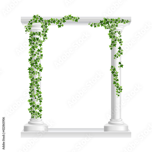 Marble roman arch with columns at green ivy creeper isolated on white background. Temple frame with stone pillars in climbing vine. Realistic 3d vector illustration of crept plants on architecture