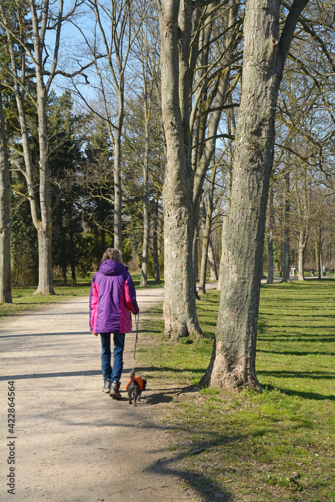 frau mit kleinem hund im volkspark worms frau mit kleinem hund im volkspark worms