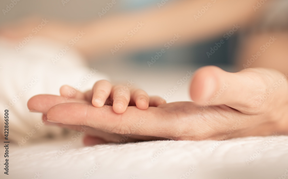 Mother holding tinny newborn baby hands. New life and child care concept. Mother holding tinny newborn baby hands. New life and child care concept.