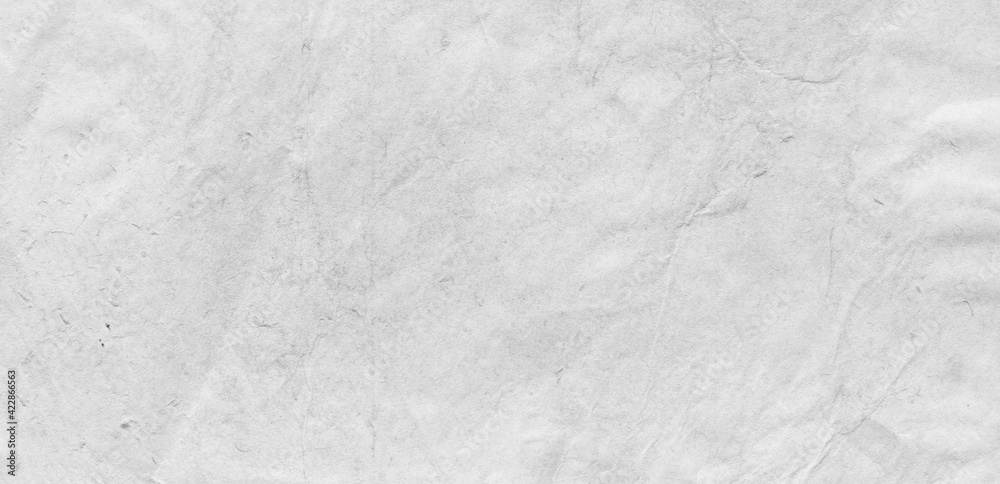 Fototapeta premium Watercolor paper texture. Paper texture for use as a background