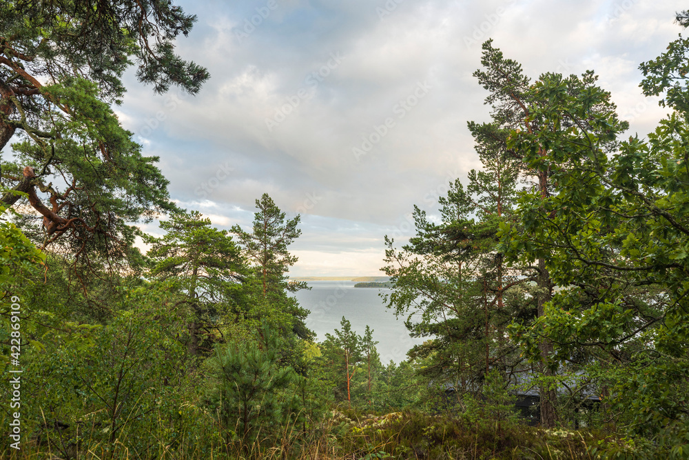 Beautiful Baltic sea landscape view through green forest trees. Sweden.