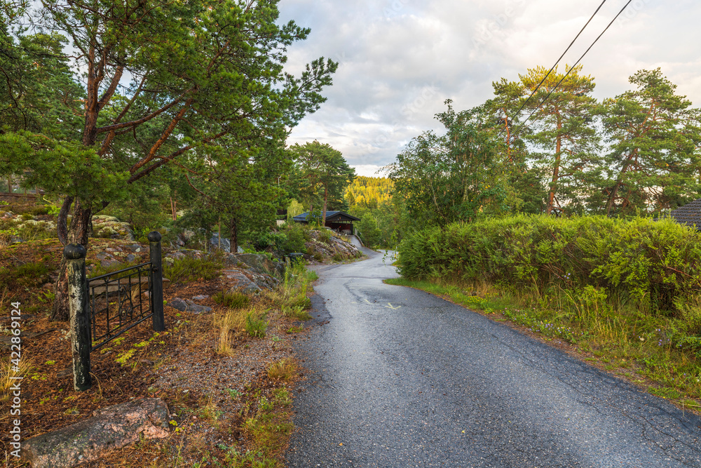 Fototapeta premium Beautiful nature landscape view. Asphalt road between green trees on cloudy sky background. Sweden.