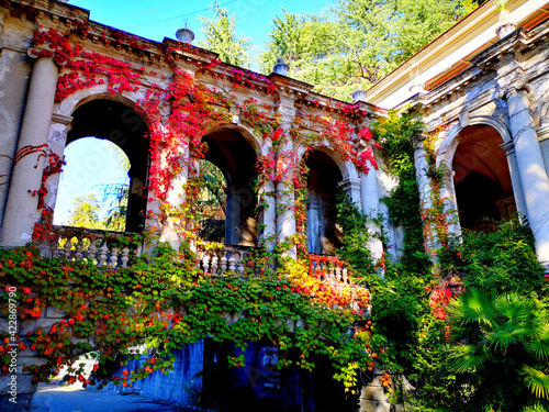 abandoned sanatorium Ordzhonikidze in Sochi photo