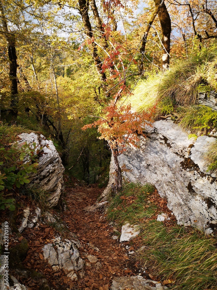 autumn mountain landscape in sochi autumn mountain landscape in sochi