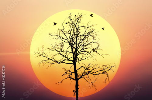 Silhouette of nature landscape. Consist of bird animal on wood dead dry tree against big yellow sunset or sunrise and evening sky background. Scenery of horizon scenic sunny summer at outdoor.