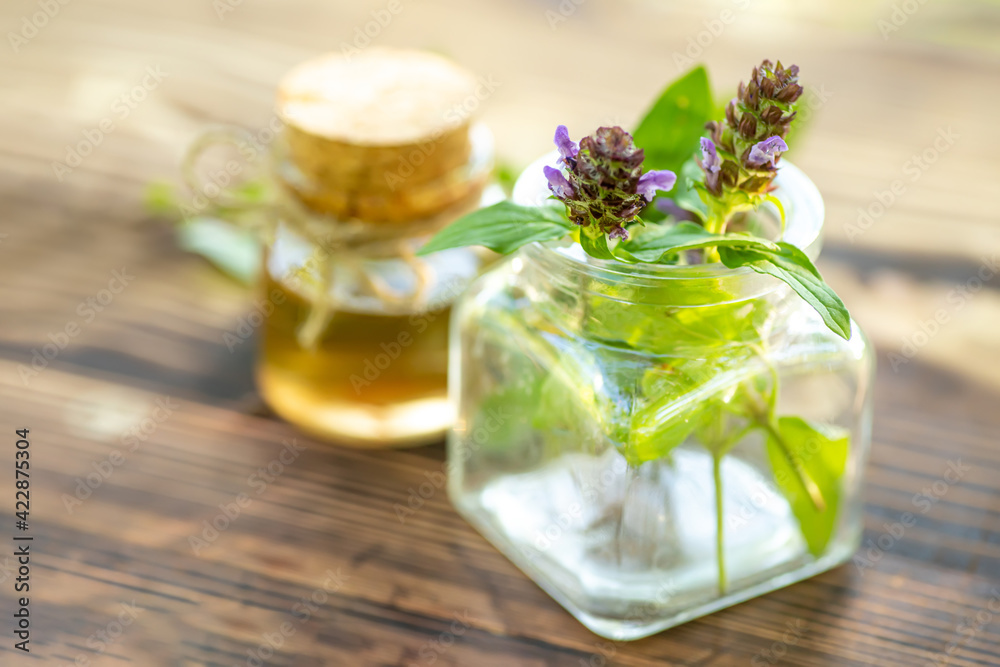 Prunella vulgaris, self-heal, carpenter's herb purple flower tincture in bottle ready for drying and making tea and infusions. Useful herb for use in cosmetology and alternative medicine Prunella vulgaris, self-heal, carpenter's herb purple flower tincture in bottle ready for drying and making tea and infusions. Useful herb for use in cosmetology and alternative medicine