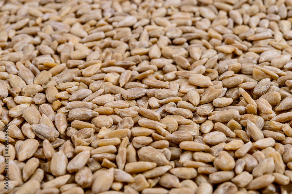 Full frame of sunflower seeds. Selective focus. Full frame of sunflower seeds. Selective focus.