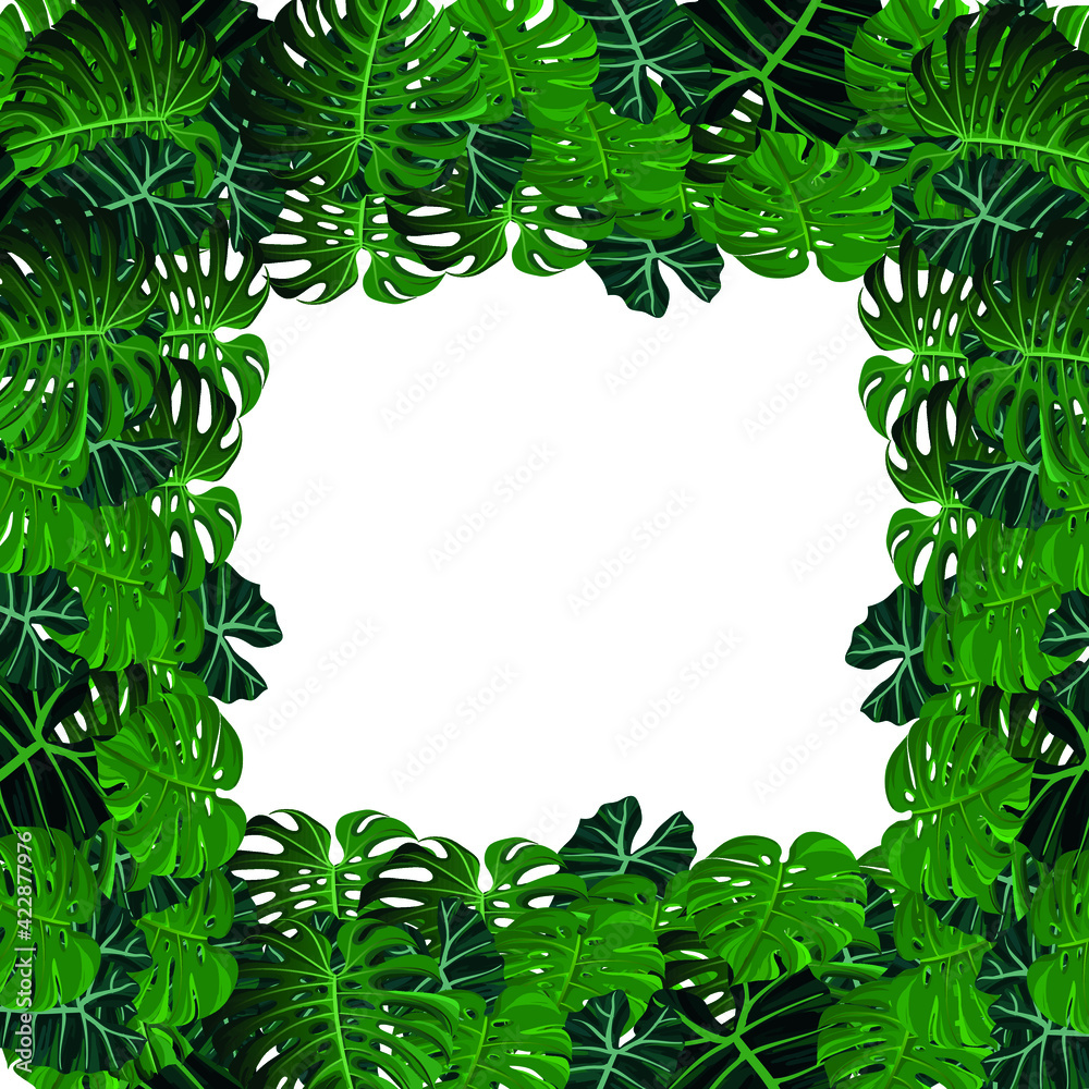 frame with tropical monstera leaves - vector frame with monstera leaves high resolution 